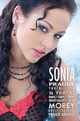 [MoreyStudio×Sonia] 2022-01-13 set P1A